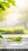 Vibrant Green Leaves Adorned with Sparkling Water Droplets, Reflecting Nature's Purity and Serenity on a Tranquil Surface Under Soft Light. photo