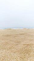 Serene Coastal Vista Golden Sands Meet the Gentle Ocean Waves Under a Soft, Overcast Sky, Evoking Tranquility and Natural Beauty. photo