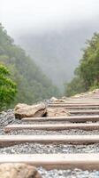 Serene Mountain Pathway Rustic Wooden Steps and Gravel Ascending Through a Verdant, Fog-Kissed Forest Landscape, Evoking Tranquility and Exploration photo