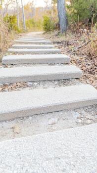 Serene Stone Steps Winding Through a Tranquil Autumn Woodland Path, Inviting Exploration and Peaceful Journeys into Nature's Embrace. photo