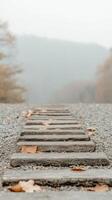 Autumnal Path through Misty Woods Serene Wooden Steps on Gravel, Adorned with Fallen Leaves, Guiding into a Hazy Forest Landscape photo