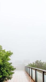 Misty Morning Walkway A Serene Path Disappearing into the Hazy Fog, with Lush Greenery Beside a Quiet, Atmospheric Outdoor Scene. photo