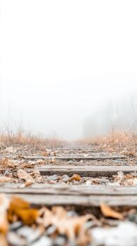 Misty Autumn PathAbandoned Railway Tracks Disappearing into a Serene Foggy Landscape, Evoking Solitude and Timeless Journey. photo