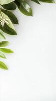 Lush Green Leaves and Delicate White Flower on Pristine White Background photo