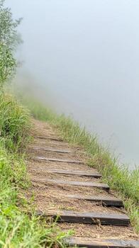 Misty Mountain Path with Rustic Wooden Steps Ascending Through Lush Green Grass, Vanishing into a Hazy, Ethereal Fog. A Serene Uphill Journey. photo