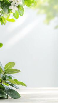 Fresh Green Leaves and Delicate White Blossoms Bathed in Soft Natural Light, Creating a Serene Botanical Backdrop for Product Display or Wellness Themes. photo