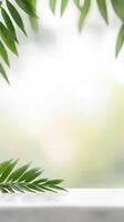 Vibrant green palm leaves frame a serene, bright background with ample copy space, perfect for natural product display, wellness themes, or a refreshing design. photo