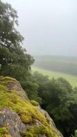 Misty Verdant Landscape A Serene View of Lush Forests and Moss-Covered Rocks Descending into a Hazy, Tranquil Valley. photo