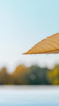 Captivating Macro View of a Golden Autumn Leaf Adorned with Pristine Water Droplets, Reflecting Nature's Serene Beauty and Delicate Details photo