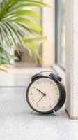 Vintage Alarm Clock on a Bright Ledge, Symbolizing Time's Gentle Passage Amidst Lush Greenery and Serene Indoor Light photo