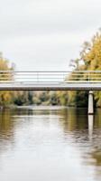 Serene Modern Bridge Spanning Tranquil River Waters Amidst Autumn Foliage Under a Soft Sky photo