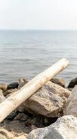 Weathered Driftwood and Ancient Rocks on a Serene Coastal Shoreline, with Calm Waters Stretching to the Horizon photo