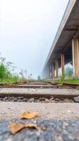 Atmospheric Fog Blankets an Overgrown Railway Track Leading Under a Massive Concrete Viaduct, Capturing a Serene Yet Mysterious Abandoned Landscape. photo