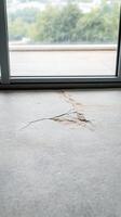 Detail of a severe crack in a grey concrete floor, revealing structural damage near a large window. An urban decay texture, needing urgent repair. photo
