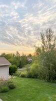 Serene suburban landscape at golden hour, featuring a vibrant green lawn, lush trees, and a tranquil sky painted with soft, wispy clouds. photo