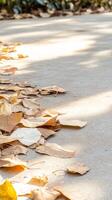 Golden Autumn Leaves Scattered on a Sun-Drenched Path, Capturing the Tranquil Beauty of the Season's Warm Hues and Natural Textures. photo