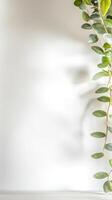 Lush Green Vine Against a Serene White Wall Elegant Botanical Decor for Tranquil Interiors and Minimalist Spaces, Capturing Natural Light and Organic Beauty photo