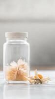 A delicate dried flower, its ethereal beauty preserved within a clear glass jar, evoking a sense of timeless tranquility and natural elegance. photo
