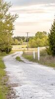Serene Countryside Gravel Path Winding Through Lush Green Fields and Trees Under a Soft, Expansive Sky at Golden Hour, Evoking Tranquility and Rural Charm. photo