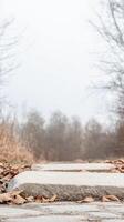 Misty Autumn Path with Fallen Leaves and Bare Trees A Serene Journey Through a Tranquil Forest Landscape on Stone Steps photo