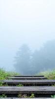 Misty Wooden Pathway Ascending into Foggy Forest Serene Nature Trail with Rustic Steps Amidst Ethereal Haze and Lush Greenery, Evoking Tranquility photo