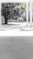 Elegant Porch View Serene Grayscale Landscape with Lush Tree and Distant Home. Peaceful Outdoor Scene with Architectural Columns and Natural Light. photo