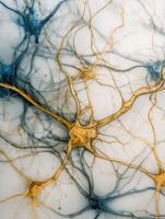 Abstract Art Banner Illustrating the Calm and Balanced Flow of Nerves in Intricate Detail photo