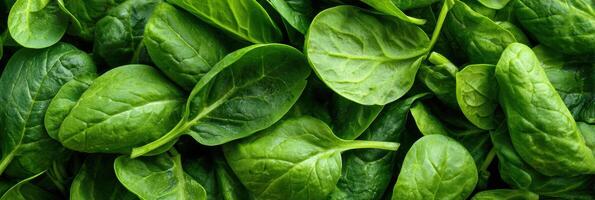 Fresh Spinach Leaves Scattered Like Feathers in a Vibrant Green Display on a Rustic Wooden Surface, Showcasing Natures Bounty in Simple Beauty photo