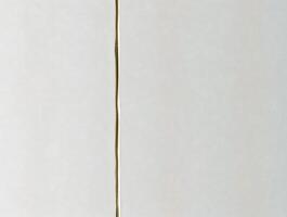 Elegant Minimalist Background OffWhite Texture with Gold Line Divider Perfect for Website Design Branding and Presentation Templates photo