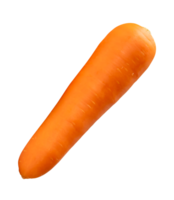 Side view of one fresh orange carrot root isolated with clipping path in file format png