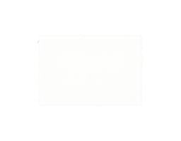 Blank white ticket stub with scalloped perforated edges. png