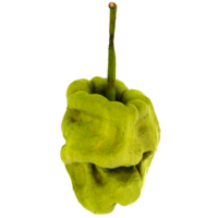 3d render ugly green pepper vegetable organic realistic wrinkled produce with transparent background png