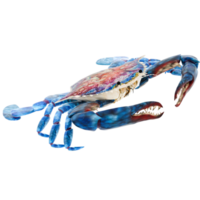 3d render blue crab claw open with transparent background png