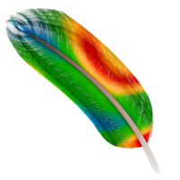 3d render rainbow bird feather with transparent background png