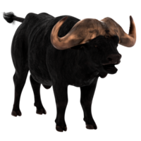 3d render buffalo animal horn power strength with transparent background png