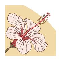 Delicate pink hibiscus flower with red accents yellow stamen on beige vector