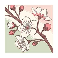 Delicate pink cherry blossom flowers on a brown branch vector