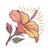 Pink yellow hibiscus flower with green leaves orange accents botanical nature vector
