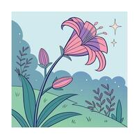 Pink purple lily flower with buds foliage vector