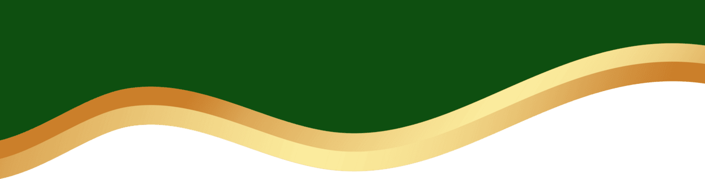 grens vorm voor banier ontwerp. groen hoofd sectie met gouden lijn. abstract bodem voor web bladzijde. gebogen verdeler sjabloon. golvend horizontaal scheidingsteken. png