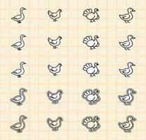 Bird illustrations in grid format vector