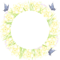Hand drawn watercolor daffodil with green leaves butterflies and pearls wreath frame border isolated on no background. Can be used for postcard, invitation, scrapbook and other printed products png