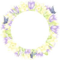Hand drawn watercolor daffodil and crocus with butterflies and pearls wreath frame border isolated on no background. Can be used for postcard, invitation, scrapbook and other printed products png