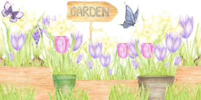 Hand drawn watercolor blooming flowers in pots and boxes seamless border isolated no background. Can be used for textile, postcard, scrapbook and other printed products png