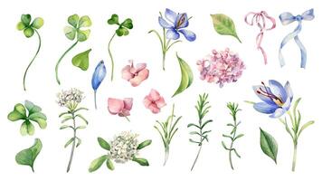 Watercolor flowers and leaves illustration vector