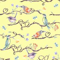 Colorful birds on branches vector