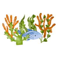 Hand drawn watercolor ocaen fish with algae sea plants. Illustration png