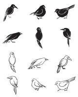 Flying Birds Collection Flat Style Icons for your graphics element. vector