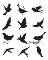 Realistic Bird Illustrations Bundle Forest and Garden Birds. vector