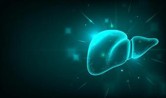 Glowing liver illustration with stars vector